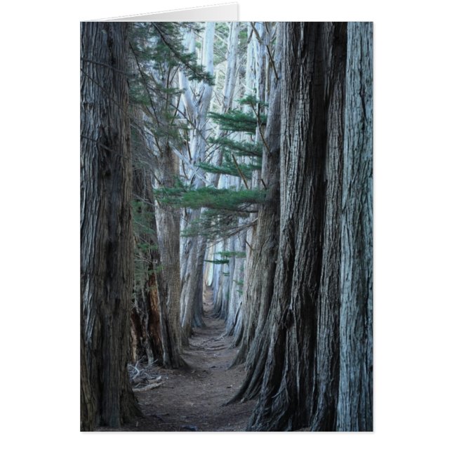 Cartão Rancho do mar (Frente)