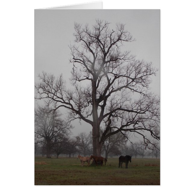 Cartão Rancho II do rio da lua (Frente)