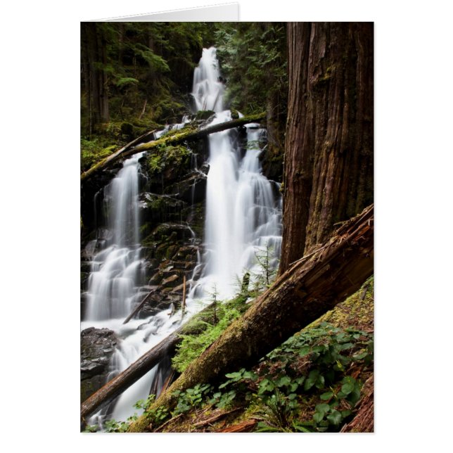 Cartão Ranger Falls (Frente)