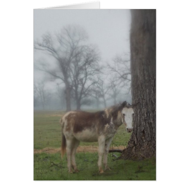 Cartão Ranhura III do rio da Lua (Frente)