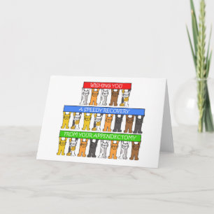 Cartão Rápida recuperação de appendectomia, Gatos.