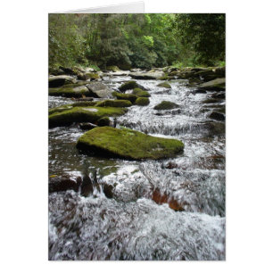 Cartão Rapids de prata