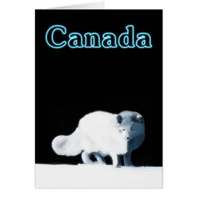 Cartão Raposa Árctica Brilhante (Frente)