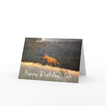 Raposa em Lua, Feliz Aniversário Filho, humor.