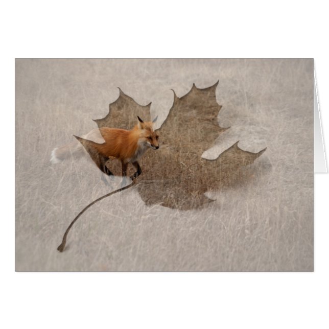 Cartão Raposa na Corrida (Frente Horizontal)