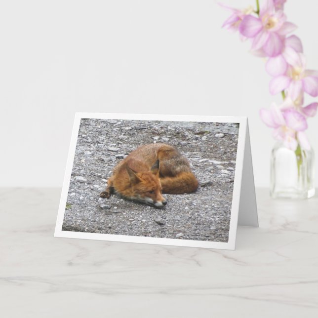 Cartão Raposa Vermelha na Estrada (Orquídea)