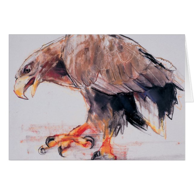 Cartão Raptor 2001 (Frente Horizontal)