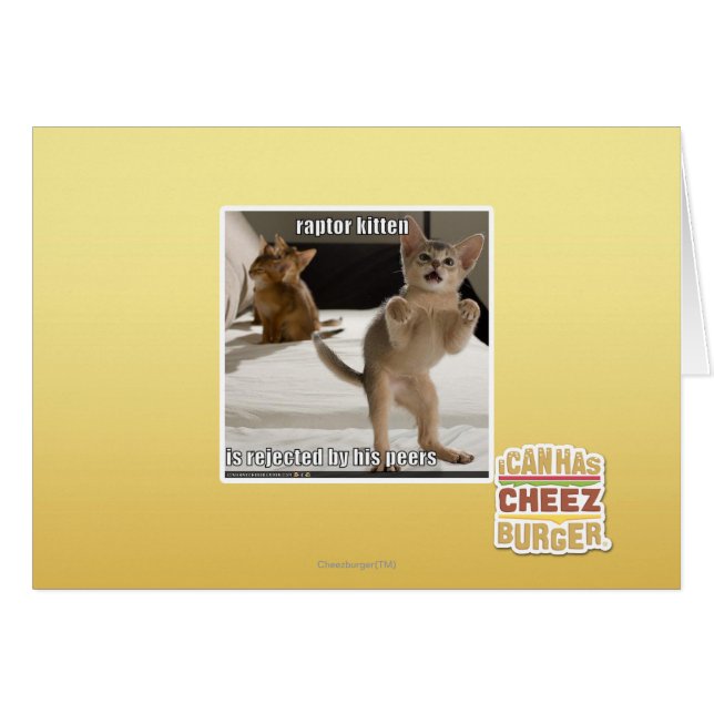 Cartão Raptor Kitten (Frente Horizontal)