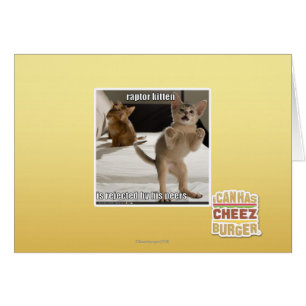 Cartão Raptor Kitten