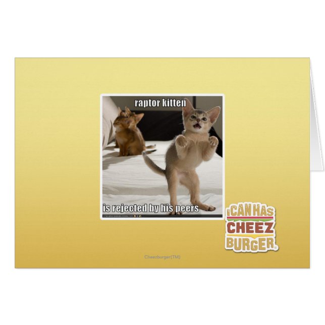 Cartão Raptor Kitten (Frente Horizontal)