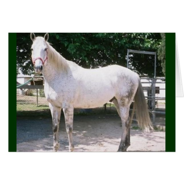 Cartão Rapturous (Frente Horizontal)