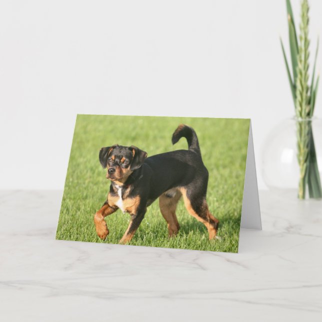 Cartão Rascal (Frente)