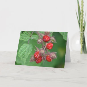 Cartão Raspberry Notecard