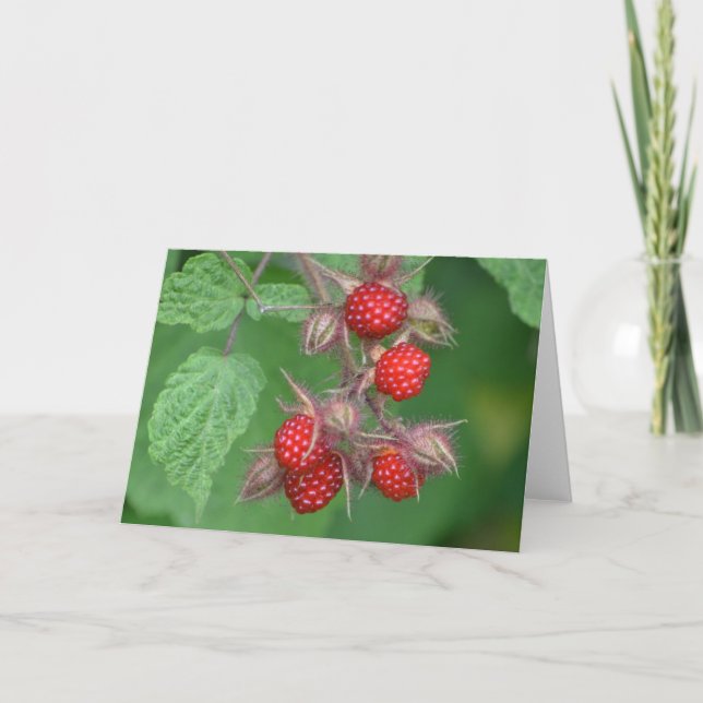 Cartão Raspberry Notecard (Frente)