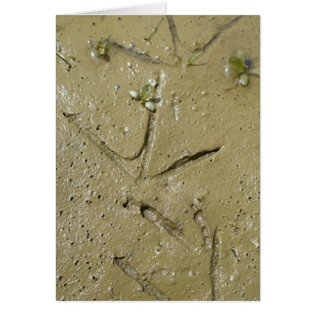 Cartão Rastreamento de assassinos (Frente)