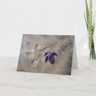 Cartão Rastreamento de Starfish