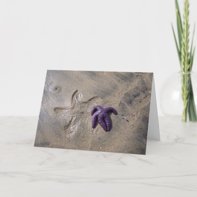 Cartão Rastreamento de Starfish (Frente)