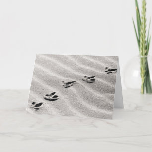 Cartão Rastreios na areia