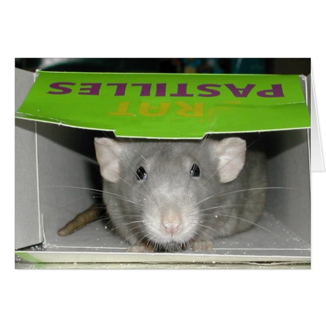 Cartão Rat Pastilles (Frente Horizontal)