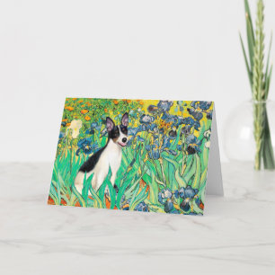 Cartão Rat Terrier - Íris