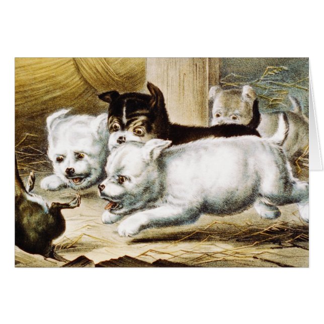 Cartão Rat Terrier Puppies - Vintage Fine Art (Frente Horizontal)
