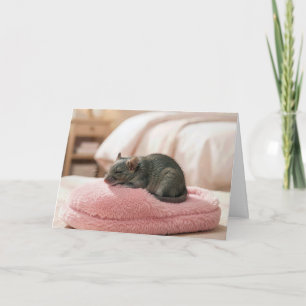 Cartão Rato de Aniversário Dormindo em uma Pantufa Rosa