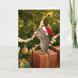 Cartão Rato de Natal Comendo Pipoca na Guirlanda da Árvor