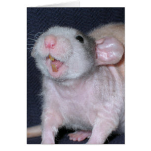 Cartão Rato de Sorriso Bonito