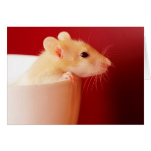 Cartão Rato do bebê