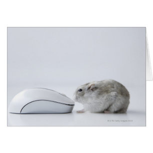 Cartão Rato do hamster e do computador