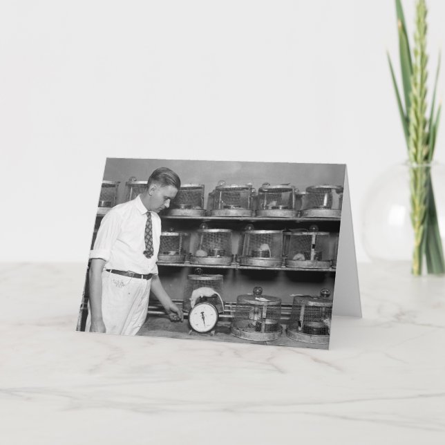 Cartão Rato gordo, 1920 (Frente)