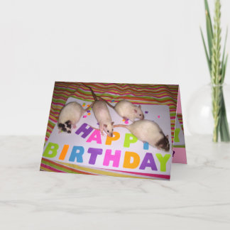 Cartão Rats Birthday Card! v1