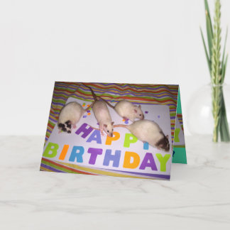 Cartão Rats Birthday Card! v2