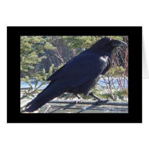 Cartão Raven