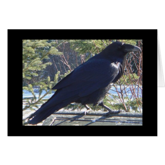 Cartão Raven (Frente Horizontal)