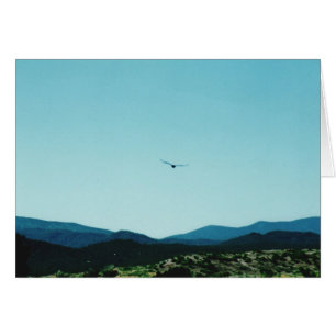 Cartão Raven Mountain