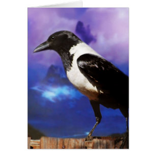 Cartão Raven na cerca