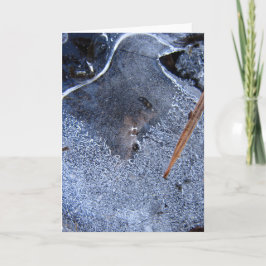 Cartão Raven parece certo, histórias de córrego preto na