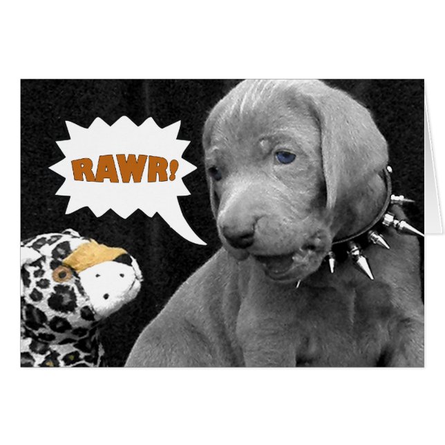 CARTÃO RAWR (Frente Horizontal)