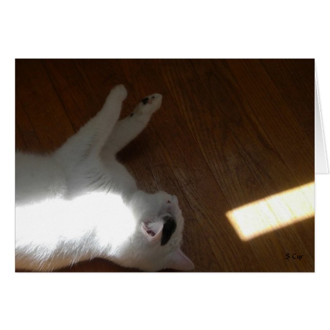 Cartão Ray of Light, S Cyr (Frente Horizontal)