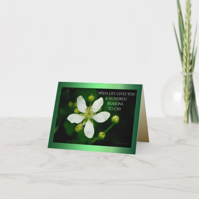 Cartão Razões para Sorrir (Frente)