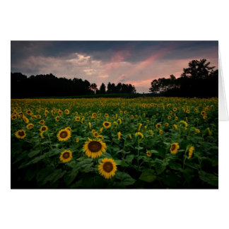 CARTÃO RCD_6002_3_4