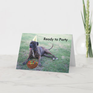 Cartão Ready to Party with Birthday Dog and Brownie Cake