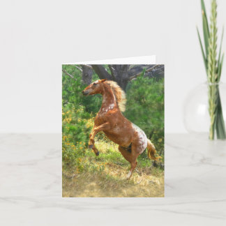 Cartão Rearing Appaloosa Horse Blank Note Card