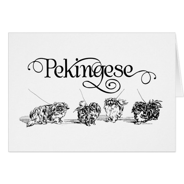 Cartão Recolha (Frente Horizontal)