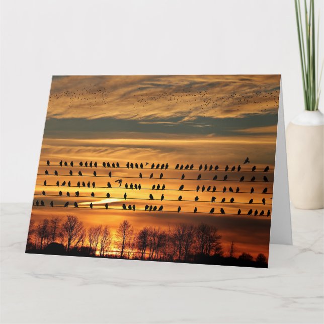 Cartão Recolha de estorninhos (Frente)