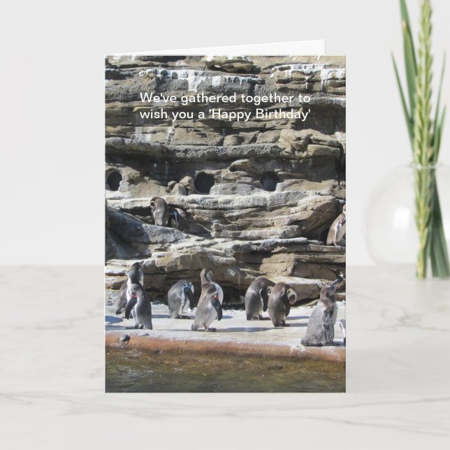 Cartão Recolha de pinguins (Frente)