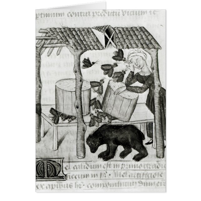 Cartão Recolhendo o mel (Frente)