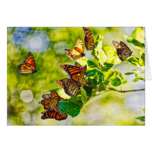 Cartão Recolhimento do monarca