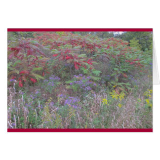 Cartão recompensa de Criação